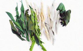 Кожаная флористика: фото 11