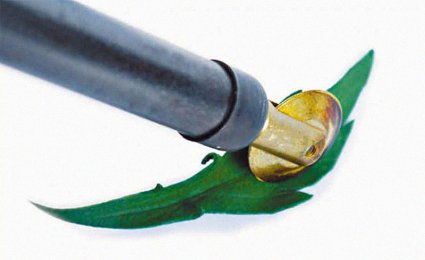 Кожаная флористика: фото 12