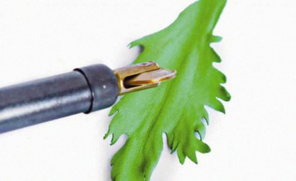 Кожаная флористика: фото 13