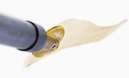 Кожаная флористика: фото 14