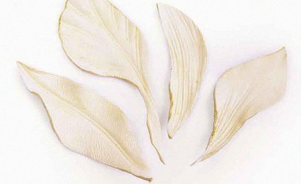 Кожаная флористика: фото 15