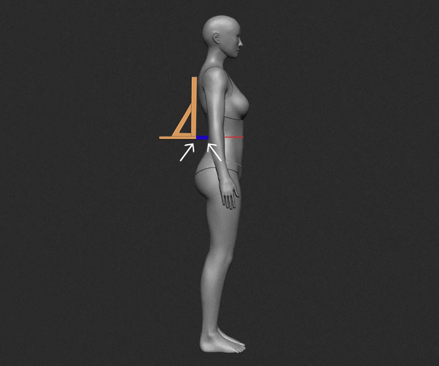 Глубина прогиба талии сзади Глубина прогиба талии сзади