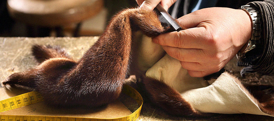 Расчёсывание меха