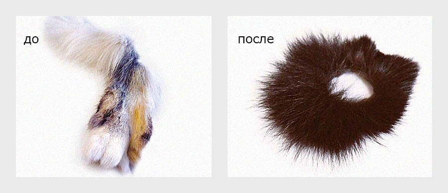 Окрашенный мех