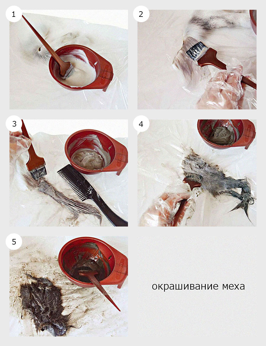 Окрашивание меха краской для волос