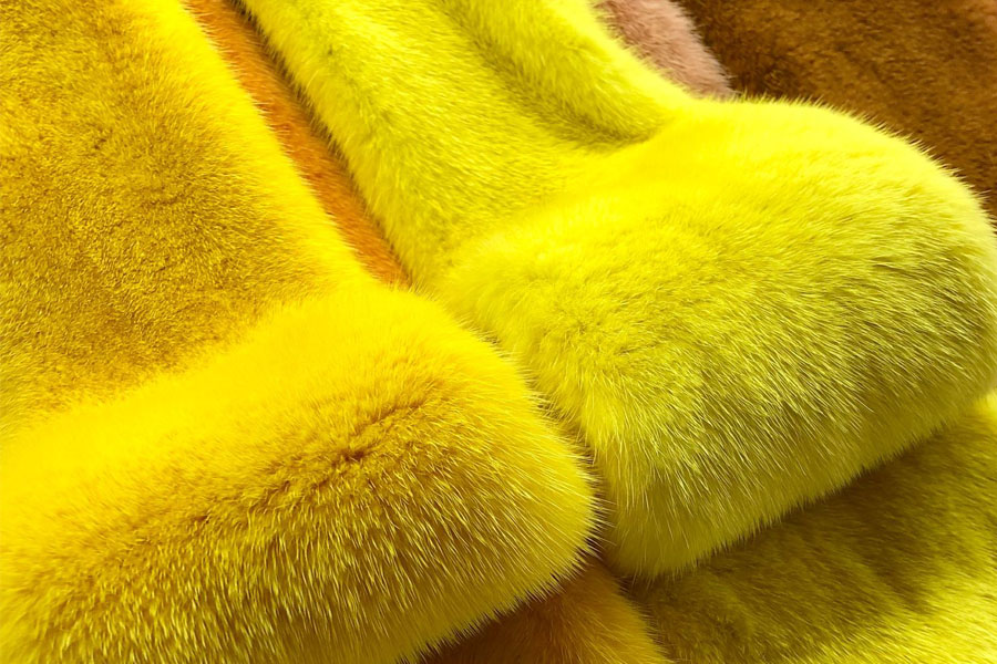 Окрашенный в яркий цвет мех